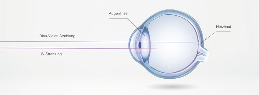 UV-Strahlen können in das Augengewebe eindringen